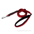 Nylon Pet Dog Bungee Leash con gancio a scatto